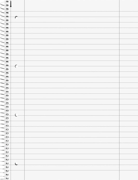 5X FOUNTAIN College Block Duo A4 lined 28+27 Premi