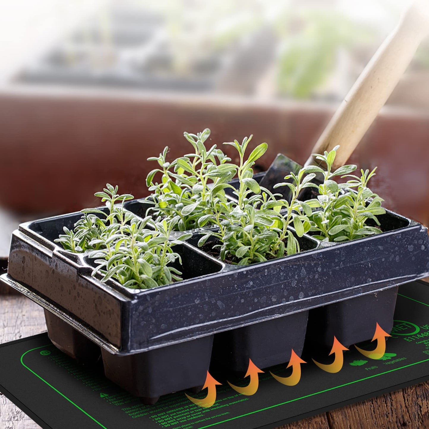 iZELL heating mat for plants with thermostat for seedlings, pets and reptiles - 50W heating mat for germination and temperature regulation, fast warming, safe and durable - 25*52cm