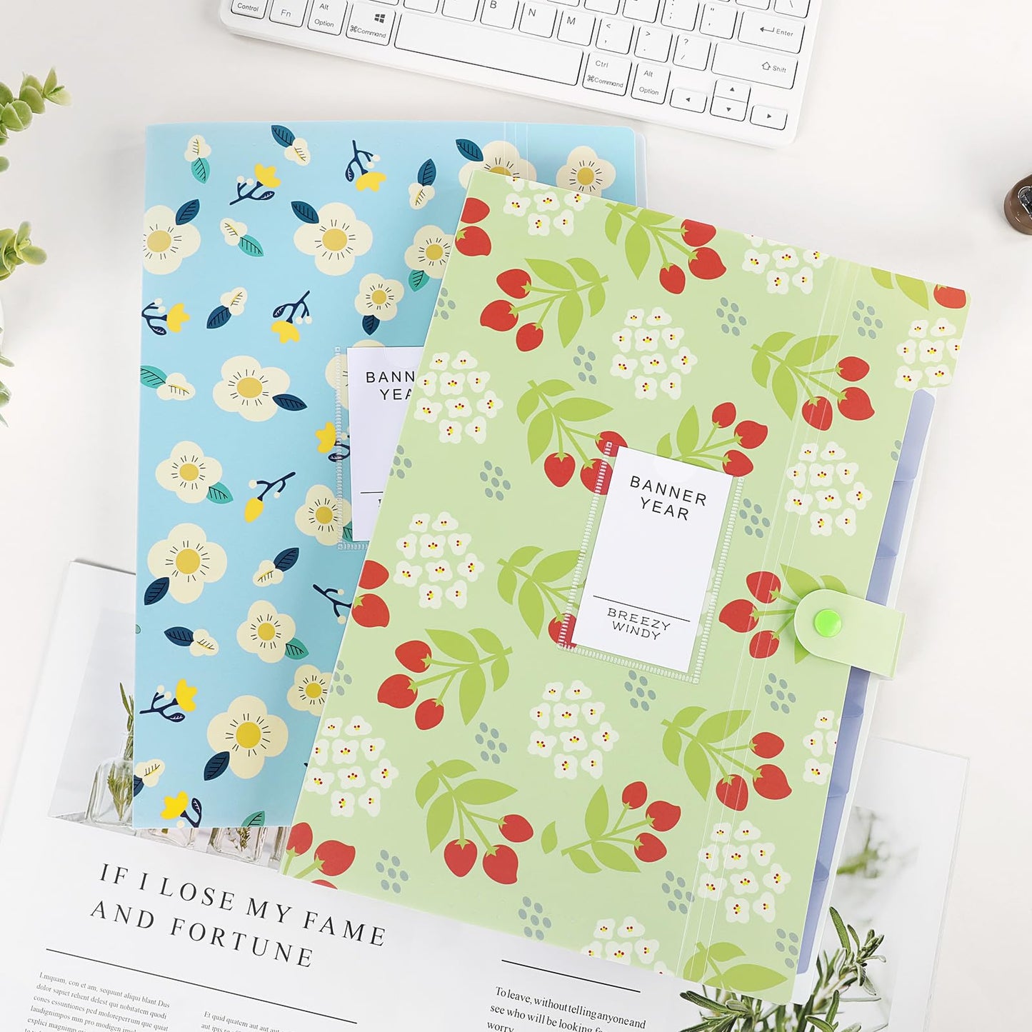 KONVINIT document folder for A4 documents, expandable with organized compartments and labels. Ideal for school, home, work, or office. Set of 2.