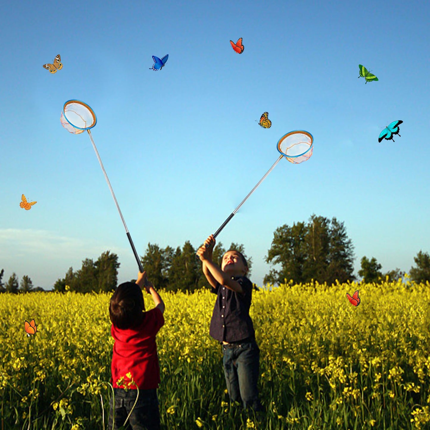 Jeinbuil Telescope Children's Butterfly Net Children's Small Fishing Net Outdoor Length from 66 cm to 145 cm Ideal for catching insects, fishing, pond, pool, garden, beach (1 piece)