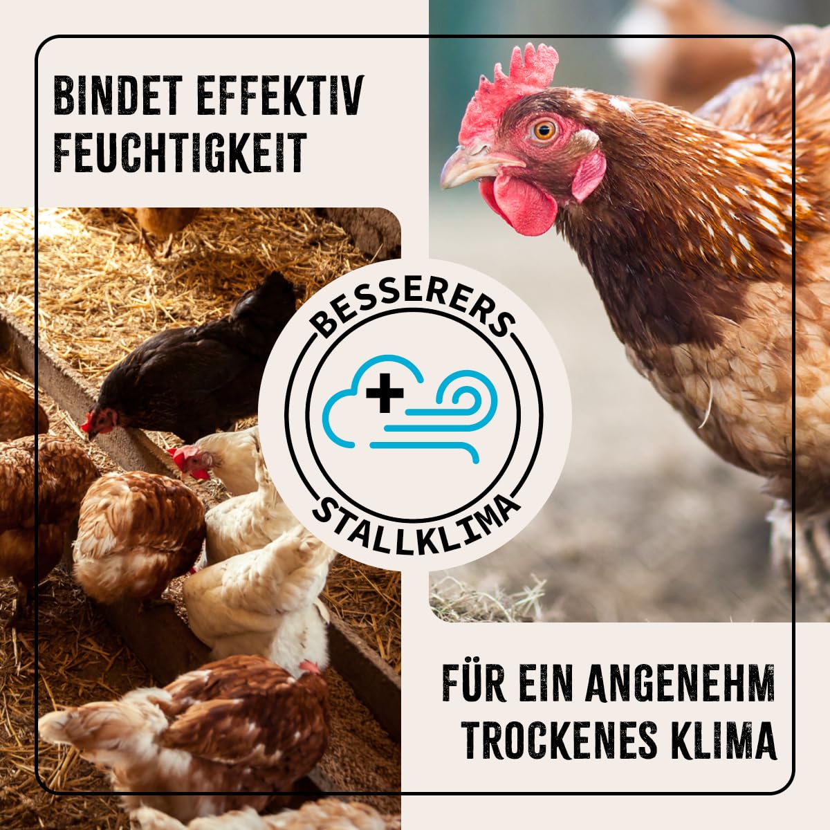 AniForte Diatomaceous Earth for Chickens 4.2kg with Dusting Bottle - Pure Diatomaceous Earth Chicken Powder, Silica Powder, Natural product for Chicken Coops, Laboratory Tested for Poultry Farms