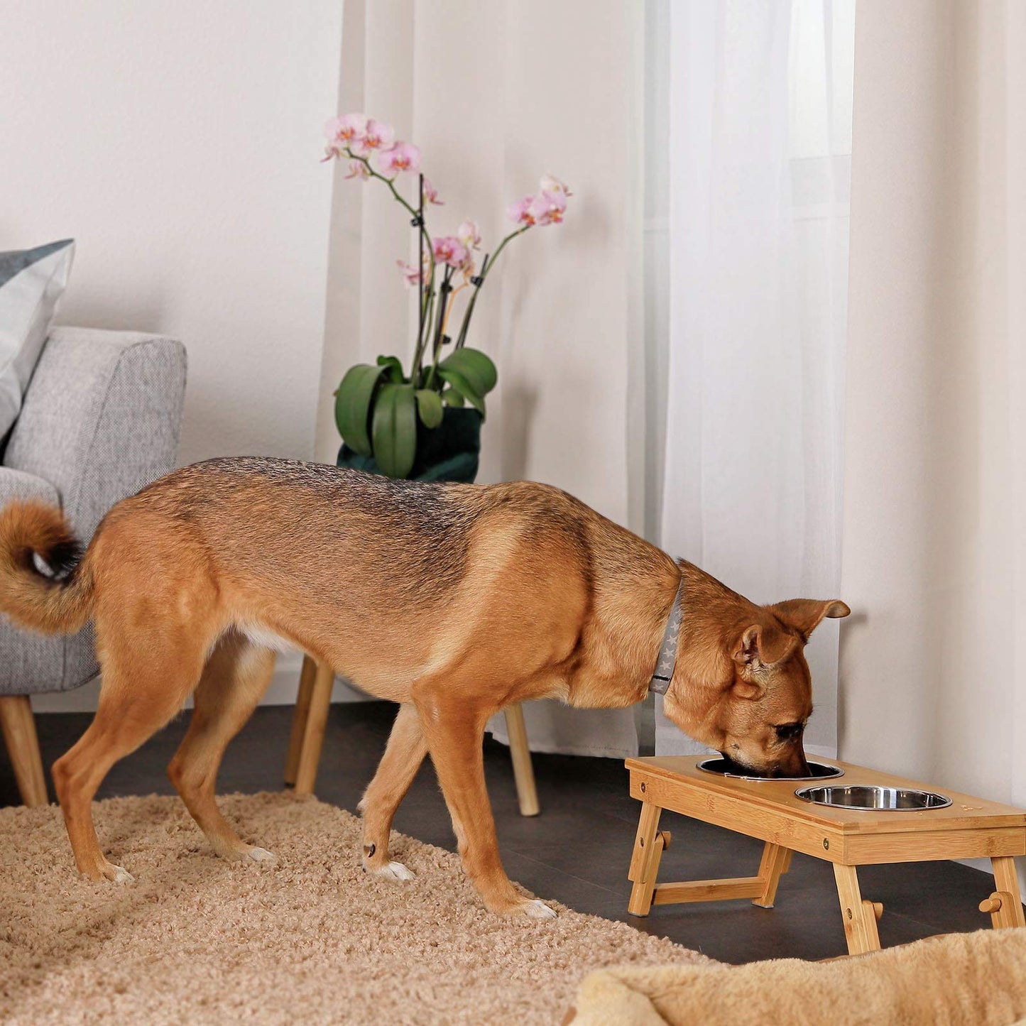 Lionto adjustable dog bowl made of durable bamboo, 45x23 cm, height 14.5-18.5 cm, double feeding bowl for dogs & cats, 2 dishwasher-safe stainless steel bowls with a capacity of 15 cm in diameter and 700ml each.