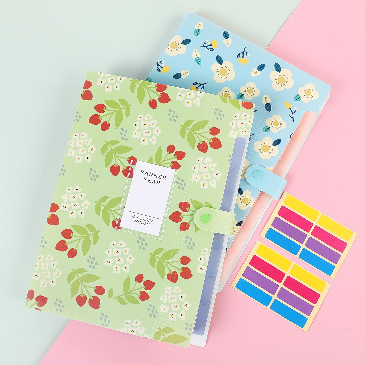 KONVINIT document folder for A4 documents, expandable with organized compartments and labels. Ideal for school, home, work, or office. Set of 2.