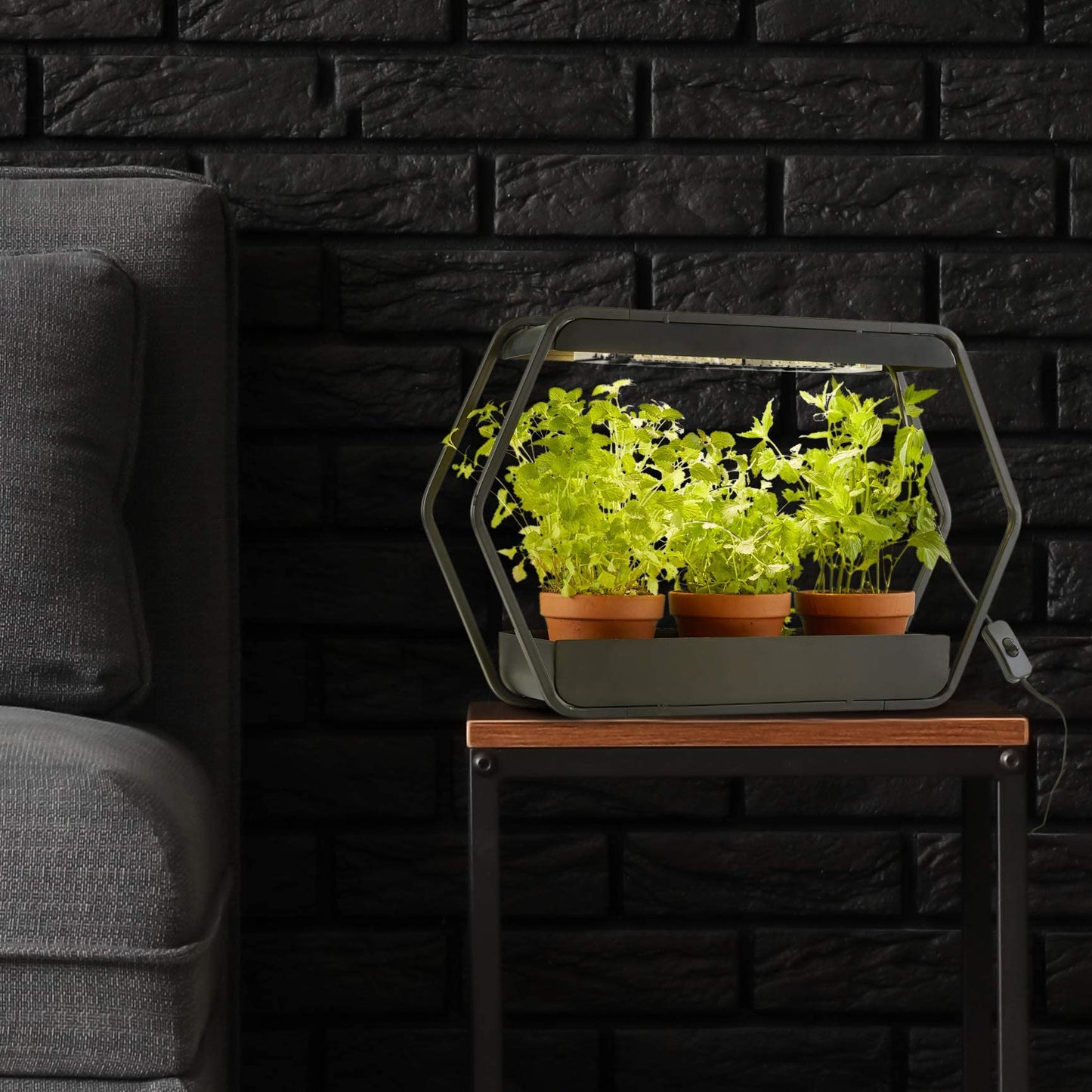 Northpoint Design LED plant lamp indoor garden grow light metal frame 14W 1000 lumens timer industrial look