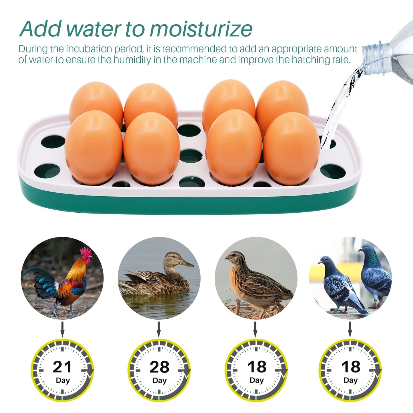 8 Eggs Incubator Chicken Hatcher Machine for Poultry Eggs, Small Train-shaped Egg Incubator with LED Light, Digital Temperature Control Hatching Machine for Hatching Birds, Quails, and Pigeons (White)