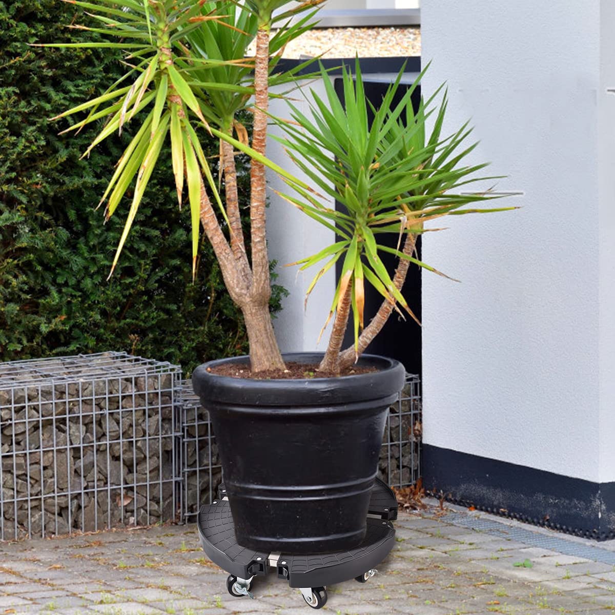 Round plant trolley with 8 wheels, adjustable flower trolley 38-51cm, 150kg carrying capacity. Plant dolly for large planters indoors and outdoors.