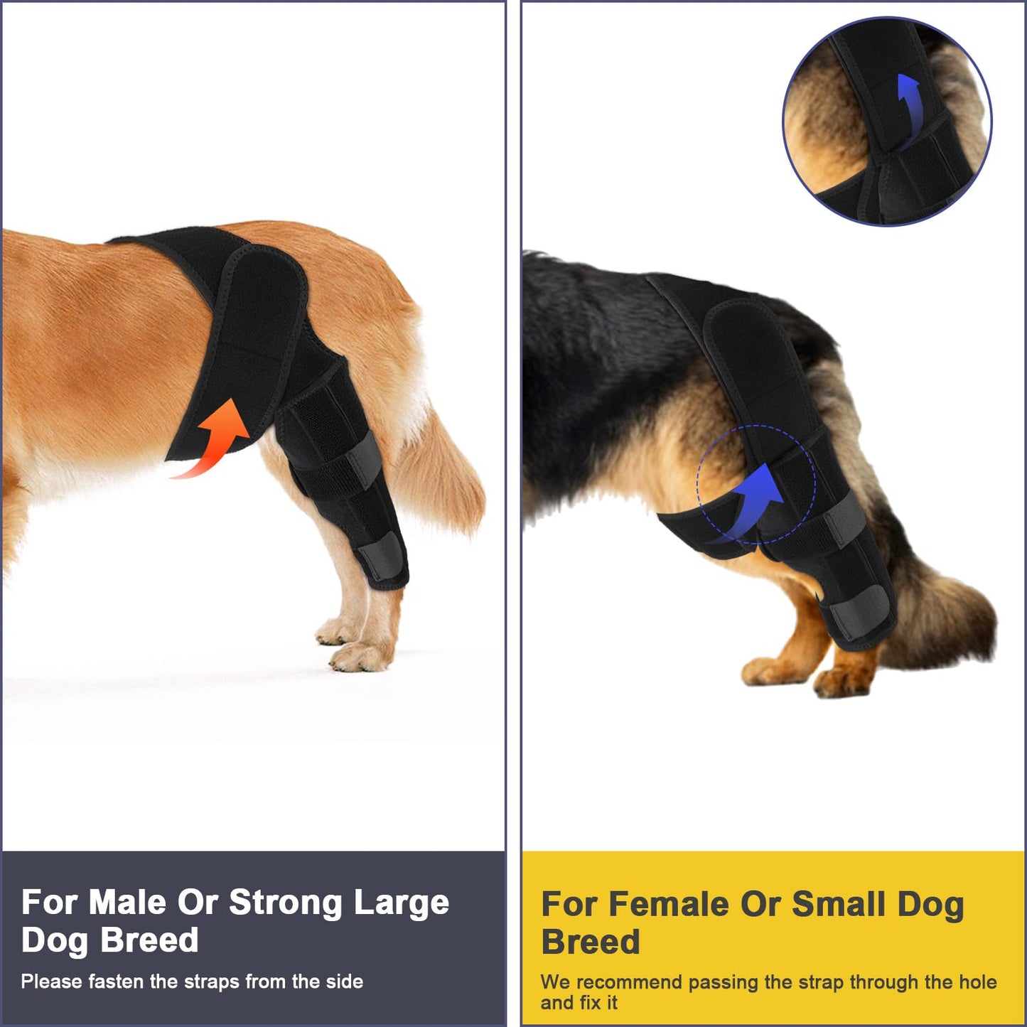 KINBOM Dog Knee Brace for Hind Leg, Dog Hind Leg Brace Dog ACL Brace Hind Leg Dog Knee Support for Dog ACL Brace Hind Leg (Black, Size L)