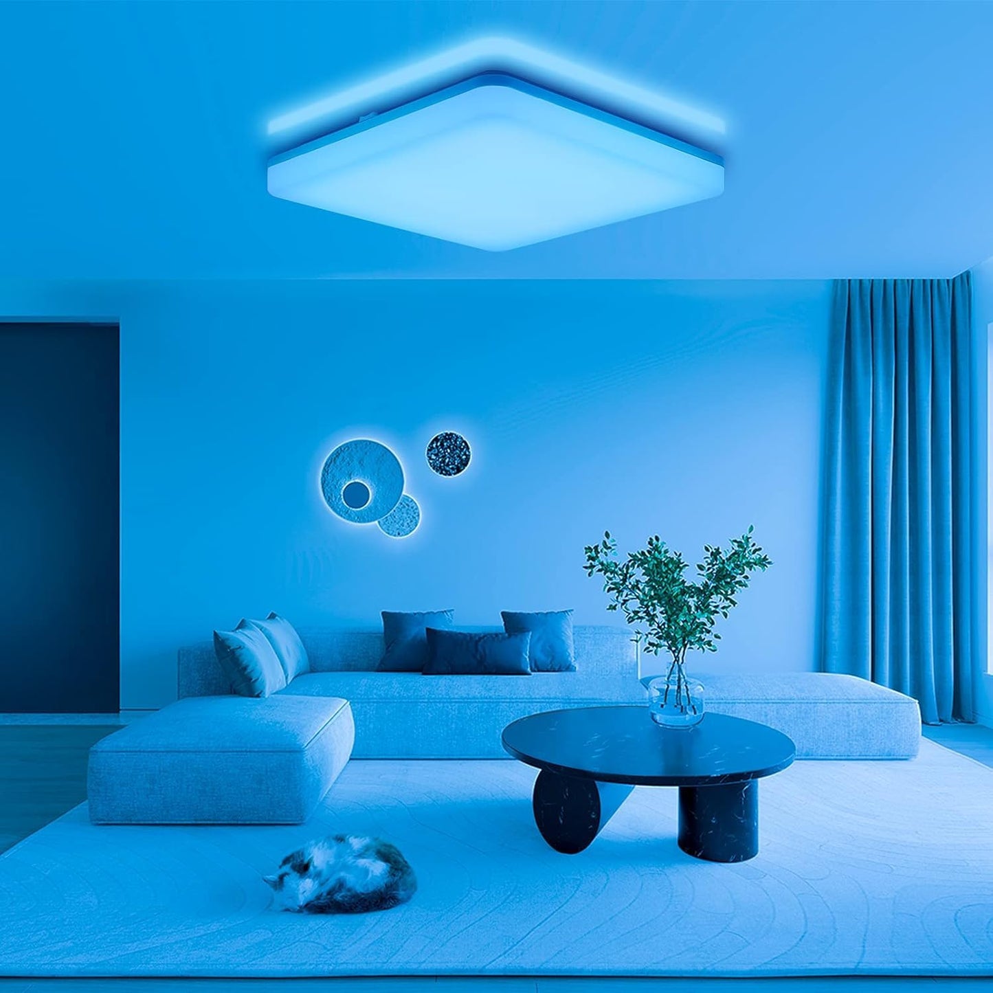 IEGLED LED ceiling light dimmable RGB color changing, 24W 2400LM LED ceiling lamp dimmable with remote control, LED bulb RGB, IP54 bathroom light living room light children's room light hallway light 28x28x4.8cm