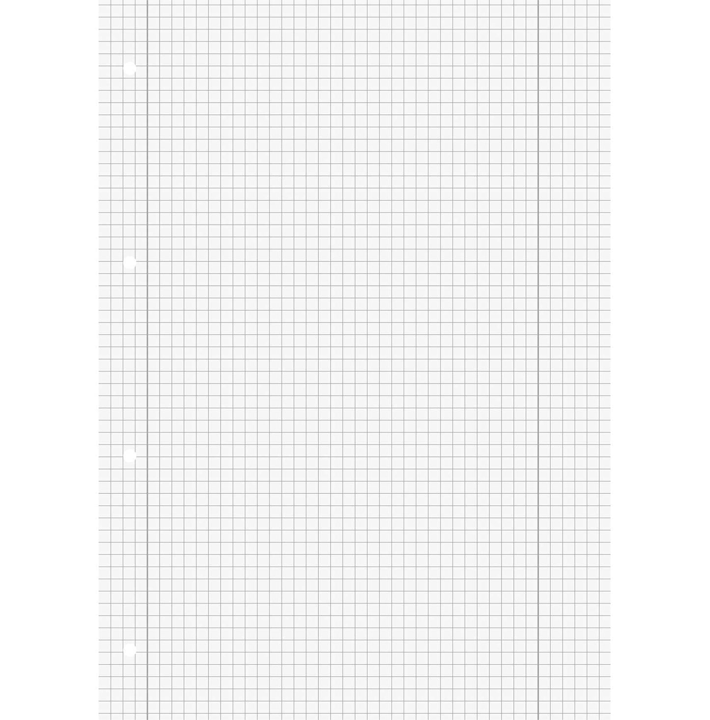 fuellermaus School Pad Combo Pack 10x lined 10x squared - with margin 50 sheets