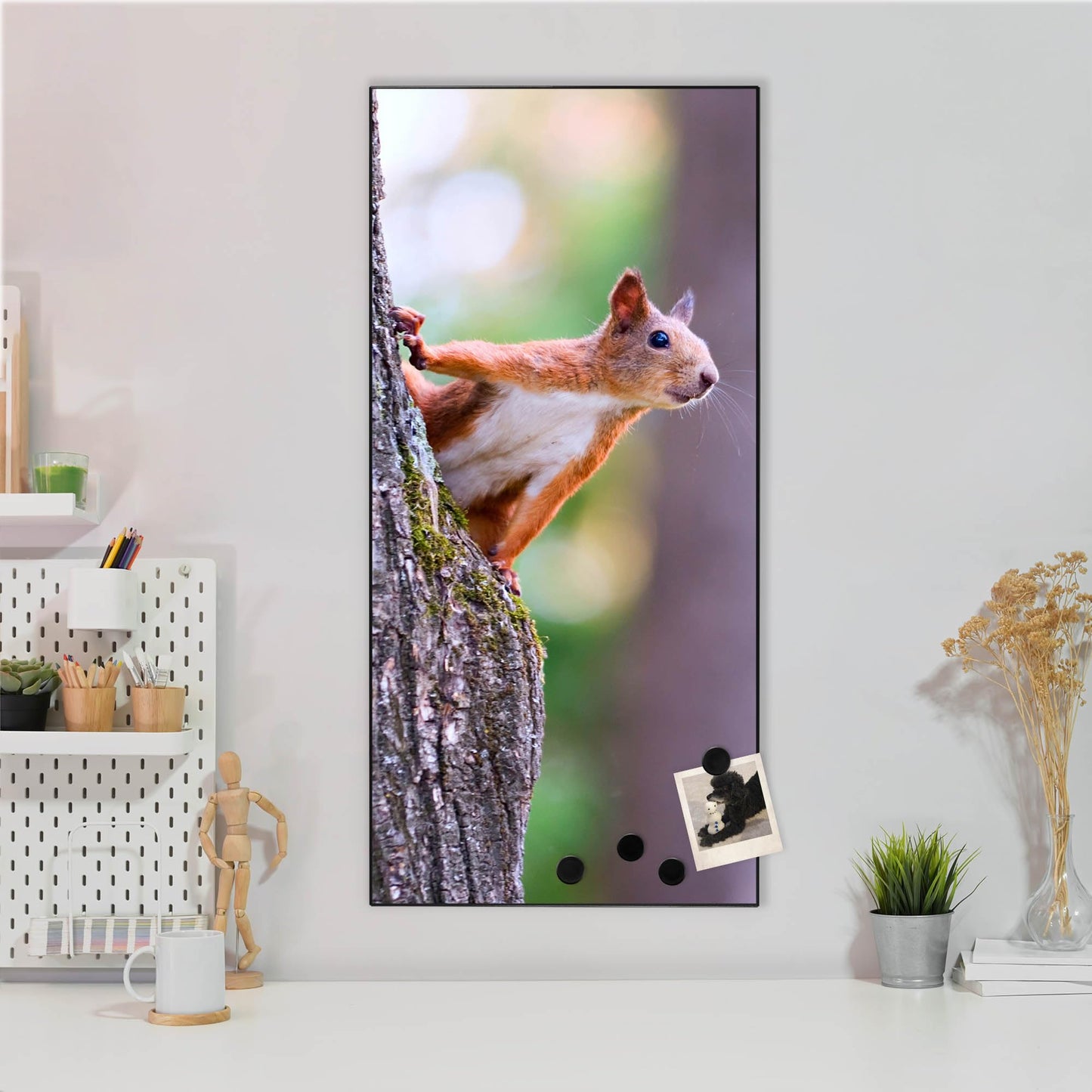 banjado® Magnetic Board 37 x 78cm / Metal Magnet Board/Memo Board/Pin Board Magnetic Board for Kitchen, Office, Kids Room including 4 Magnets & Mounting Kit - Squirrel Design