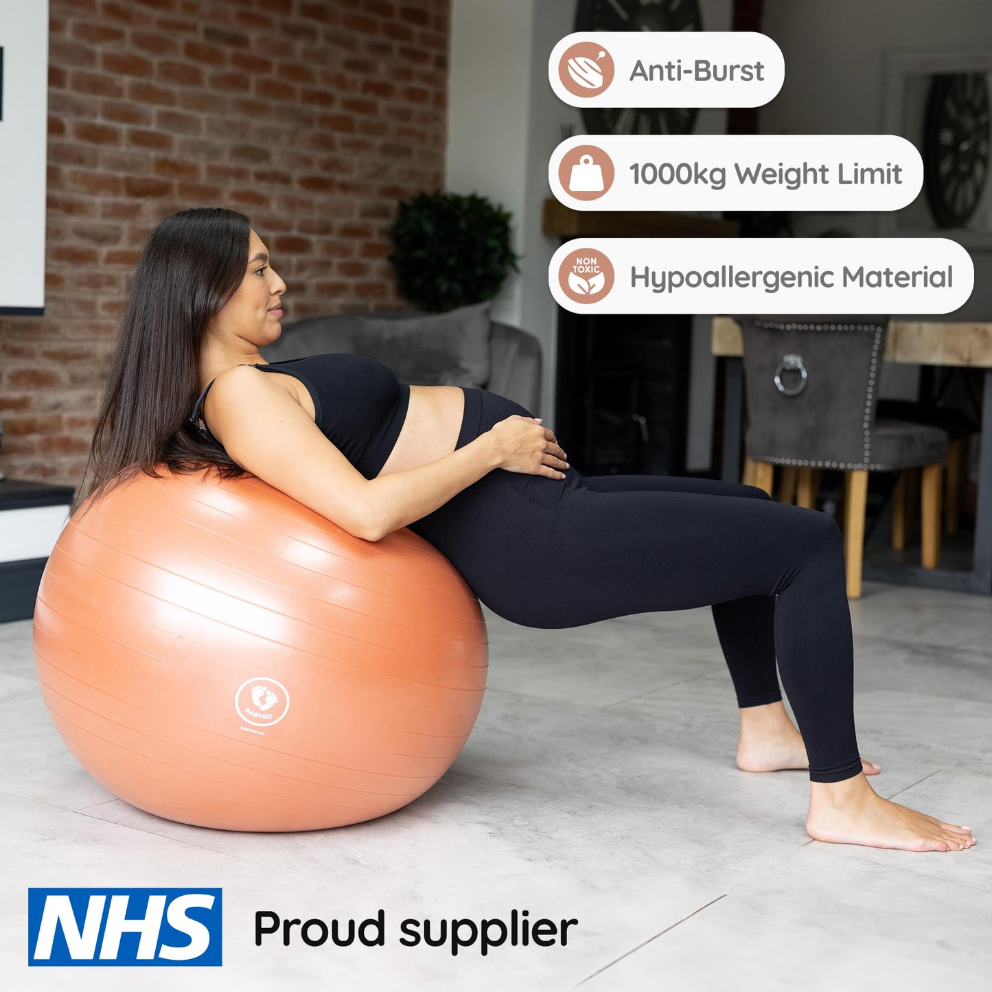 BABYGO® Pregnancy Exercise Ball | Office Pregnancy Yoga Pezzi Ball | includes Pregnancy Book for Birth & Fitness | Anti-Burst 1000 Kg (Terracotta, 75cm)