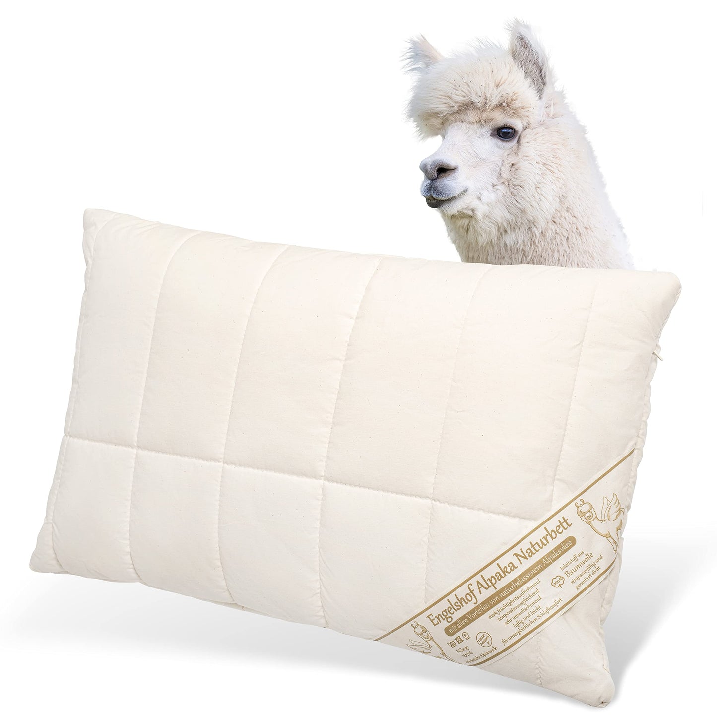 Engelshof Alpaca Pillow Farisa slim 40x60 cm Alpaca fleece Alpaca pillow quilted with 100% alpaca wool - Cover made of untreated cotton.