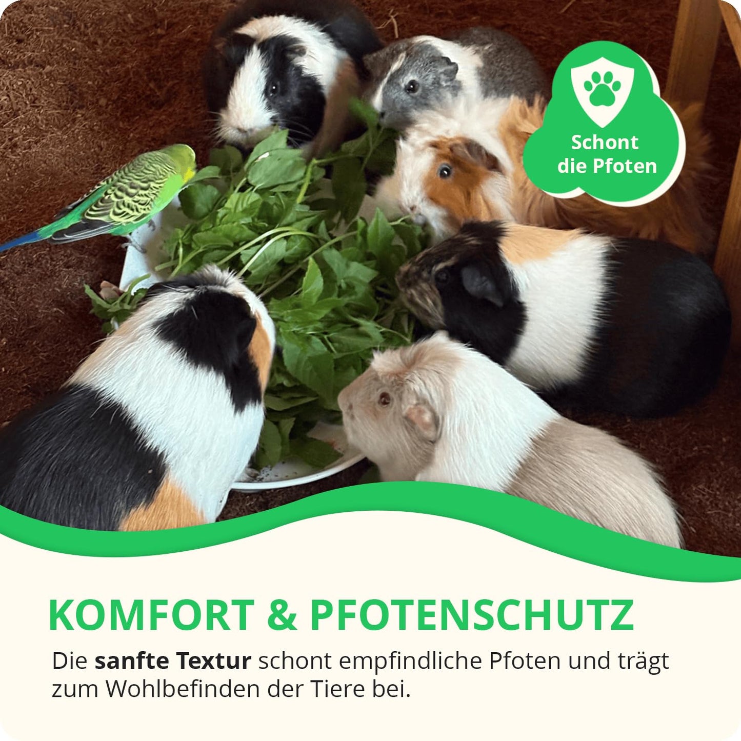 Allkokos Coconut Small Animal Bedding (2x40 Liters)