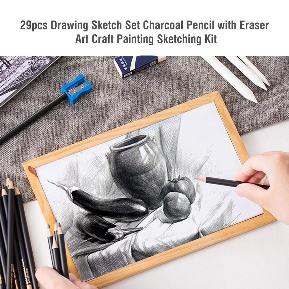 Hztyyier 29Pcs Drawing Set Professional, Sketching Pencils Set, Drawing Pencils, Sketching Set with a Storage Case for Beginner Artists