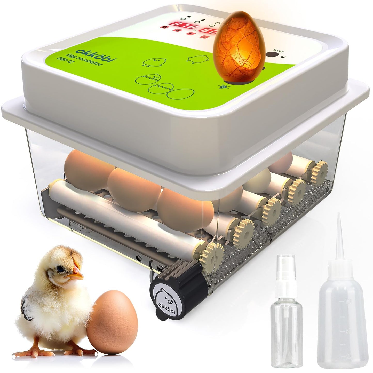 Incubator Fully Automatic 12 Eggs - Ideal for all age groups | Hatching Chickens Egg Turning and Moisture Control - Integrated Eggshell + 5 Year Protection - Okköbi OBI-12