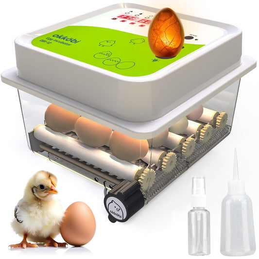 Incubator Fully Automatic 12 Eggs - Ideal for all age groups | Hatching Chickens Egg Turning and Moisture Control - Integrated Eggshell + 5 Year Protection - Okköbi OBI-12