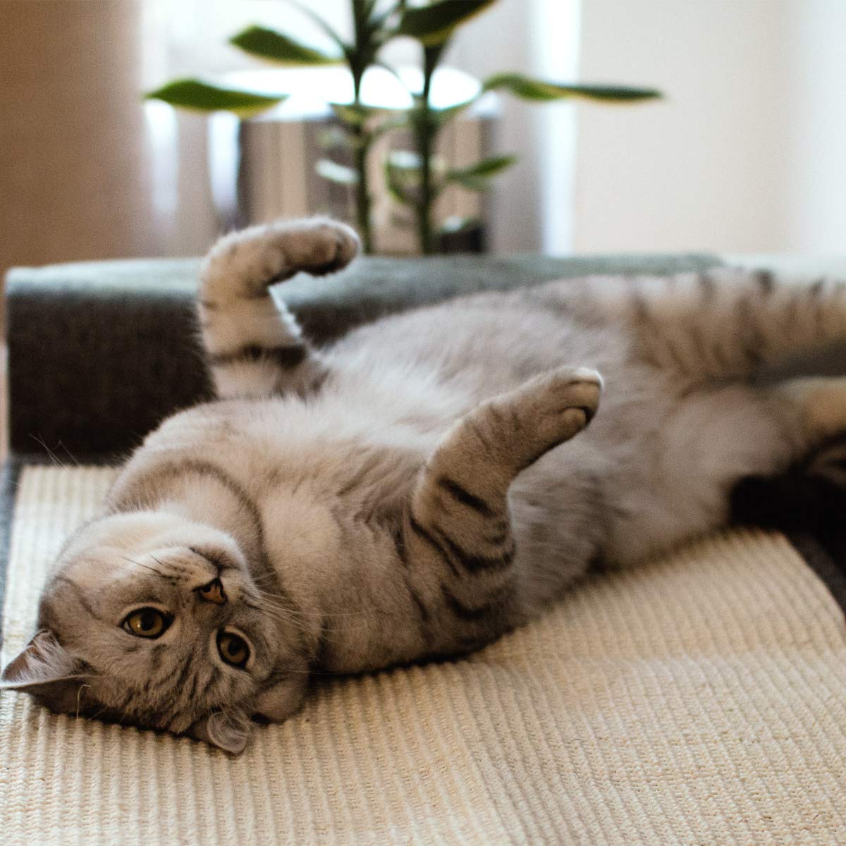 Navaris cat scratching mat scratch protection for sofa - sisal scratching carpet 130 x 45 cm for cat - couch cat scratching mat - also suitable for dogs.