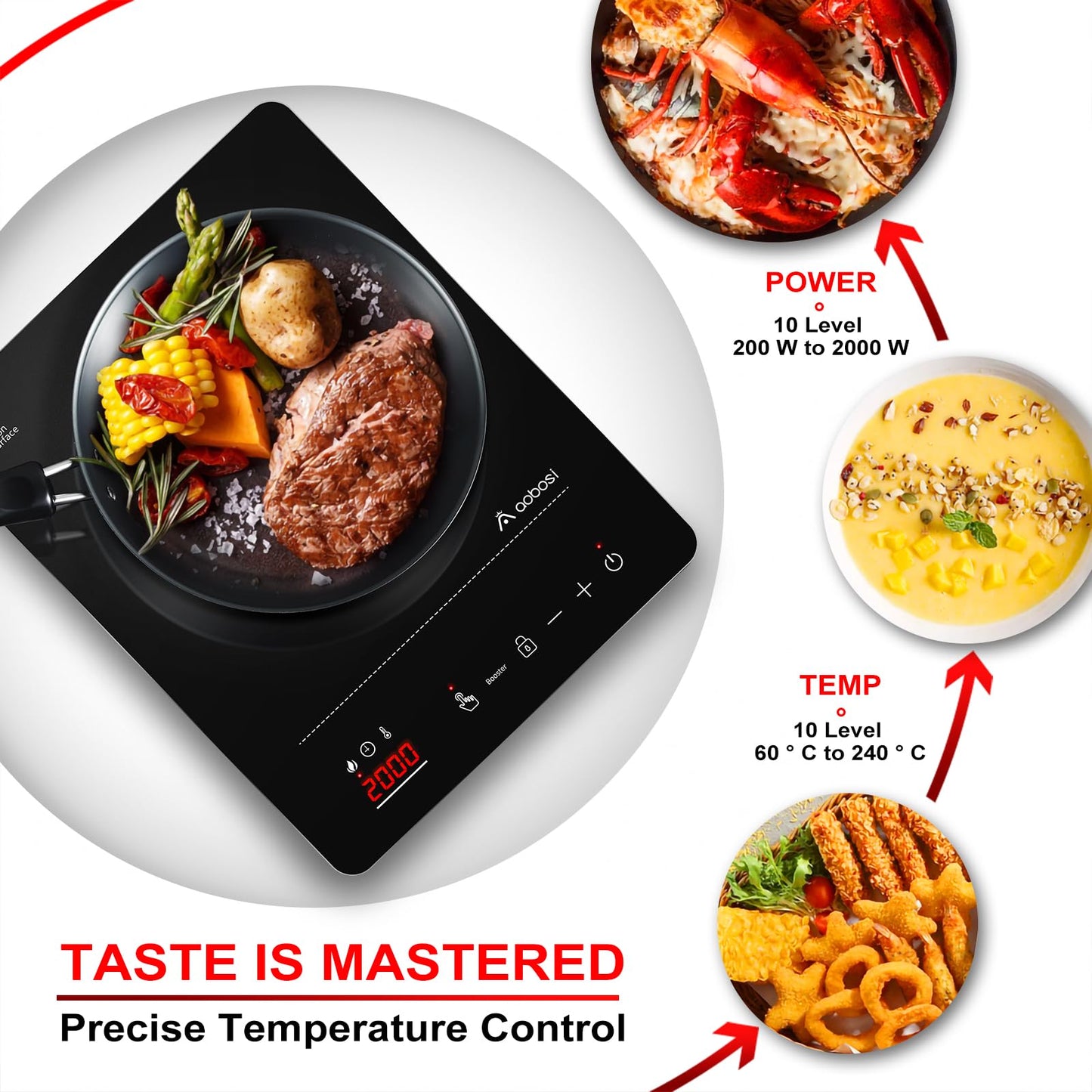 Aobosi Induction Cooktop, Induction Hob 1 Plate, 20 Power Levels and 20 Temperature Levels, 2000W Portable Induction Cooktop, LED Display, 10H Timer, Booster Function, Silver