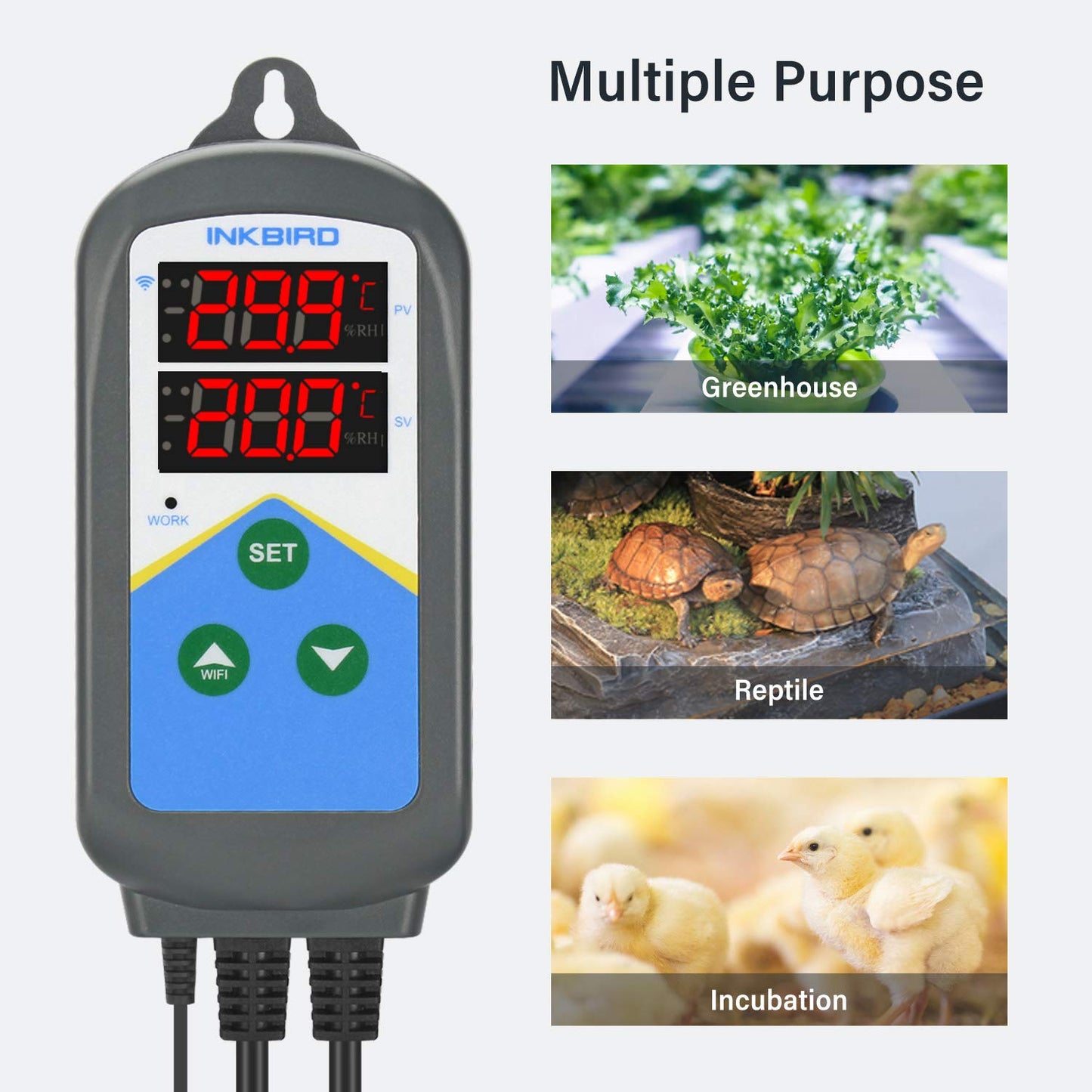 Inkbird WiFi Thermostat, dual time cycles, alarm function, two outlets (heating only).