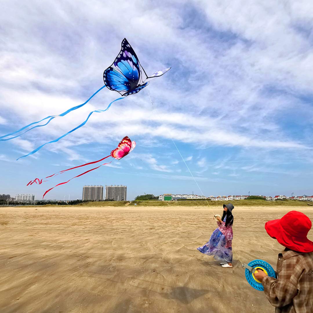 Mint's Colorful Life Butterfly Kite Dragon Kite for Kids and Adults (Pink)