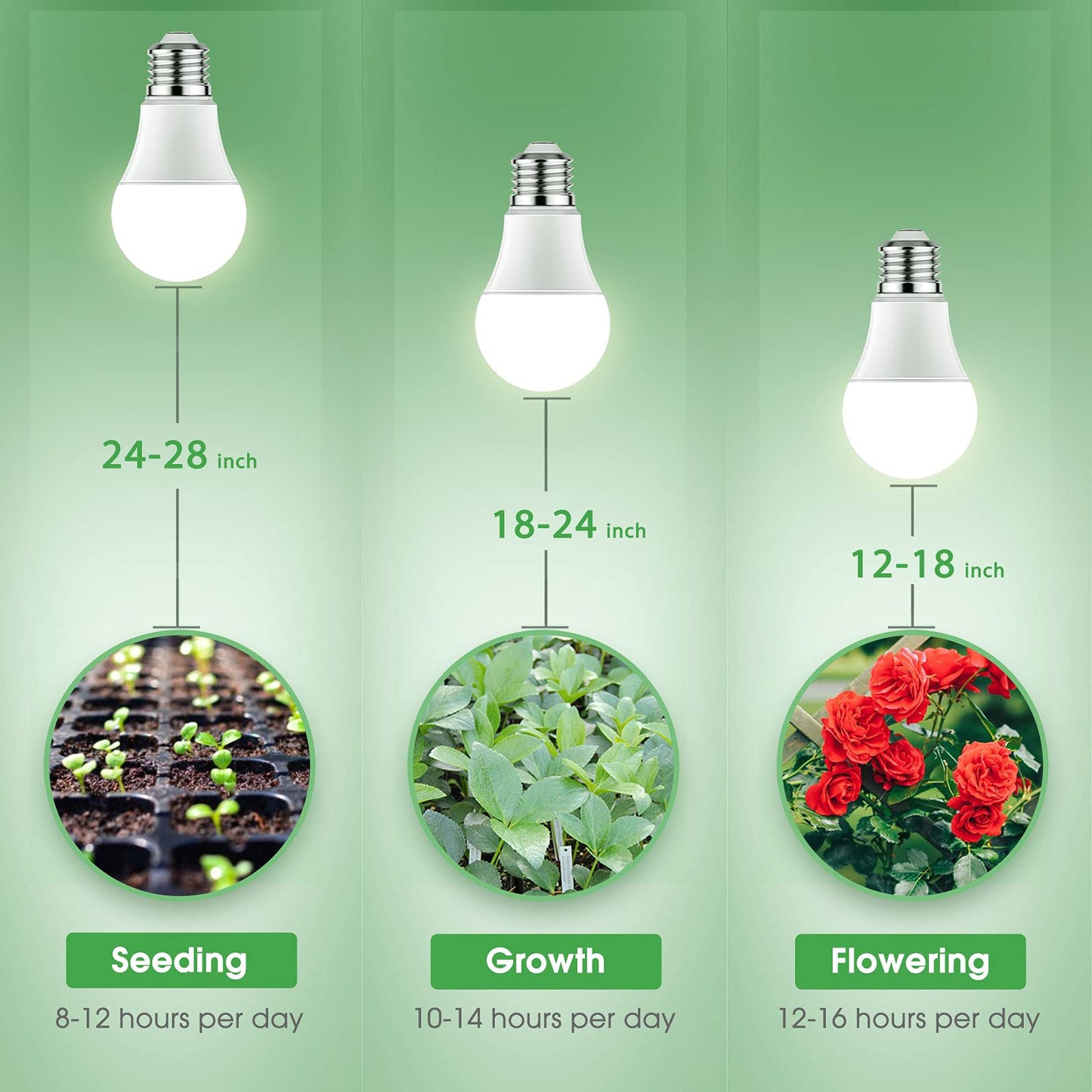 Briignite The light bulb is shining. A plant lamp Plant lamp Full spectrum growth lamp E27 base 12W growth lamp, growth light for indoor plants