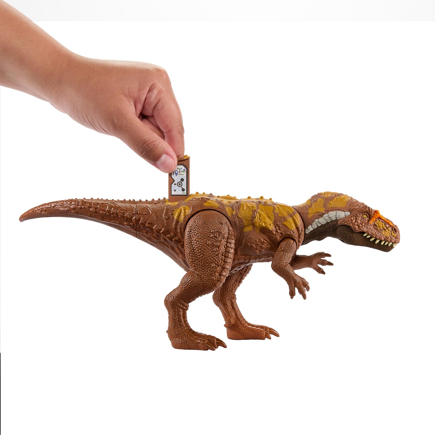 Mattel JURASSIC WORLD Wild Roar Megalosaurus - Toy with attack motion and roaring sound, compatible with Jurassic World Play App, for kids 4+. Item number HTK73.