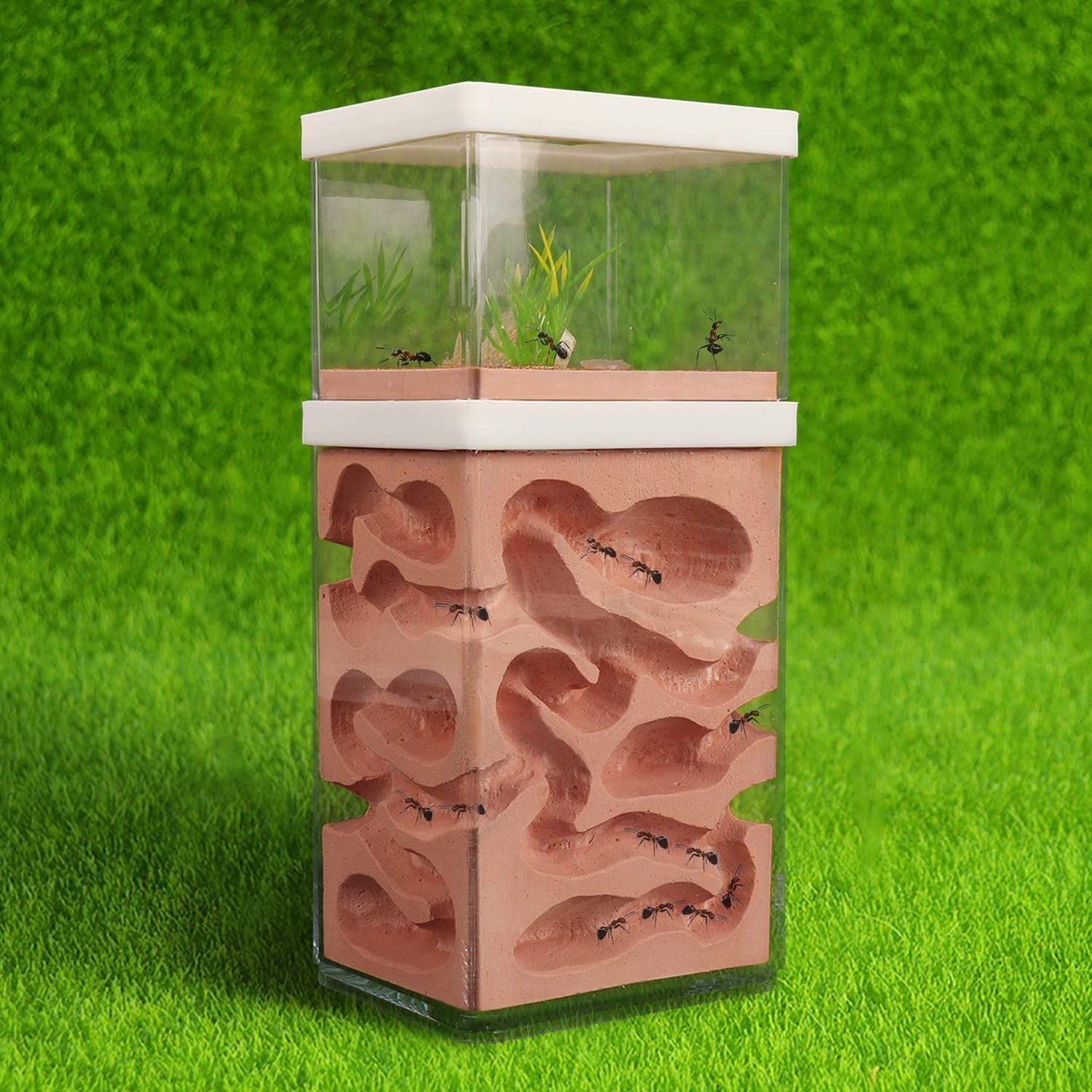 aleawol Natural Ant Farm Ant Nest Formicarium made of plaster Transparent Ant House Ant Breeding Box Ant Terrarium House Ant Farm Ant Nest Habitat