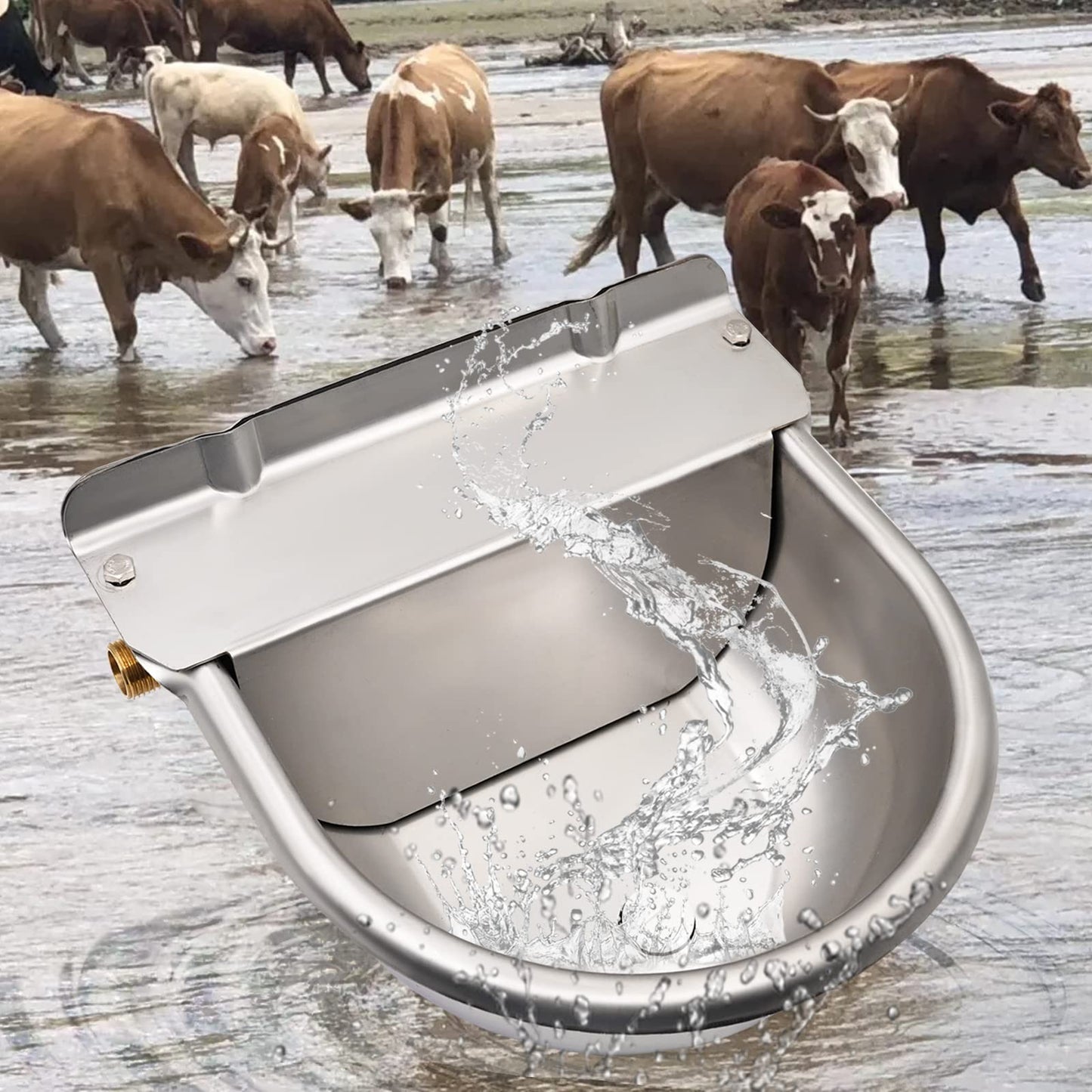 Automatic drinker basin made of stainless steel with 1/2 inch adjustable brass float valve and drainage holes for horses, cows, pigs, goats, sheep, and dog drinkers.