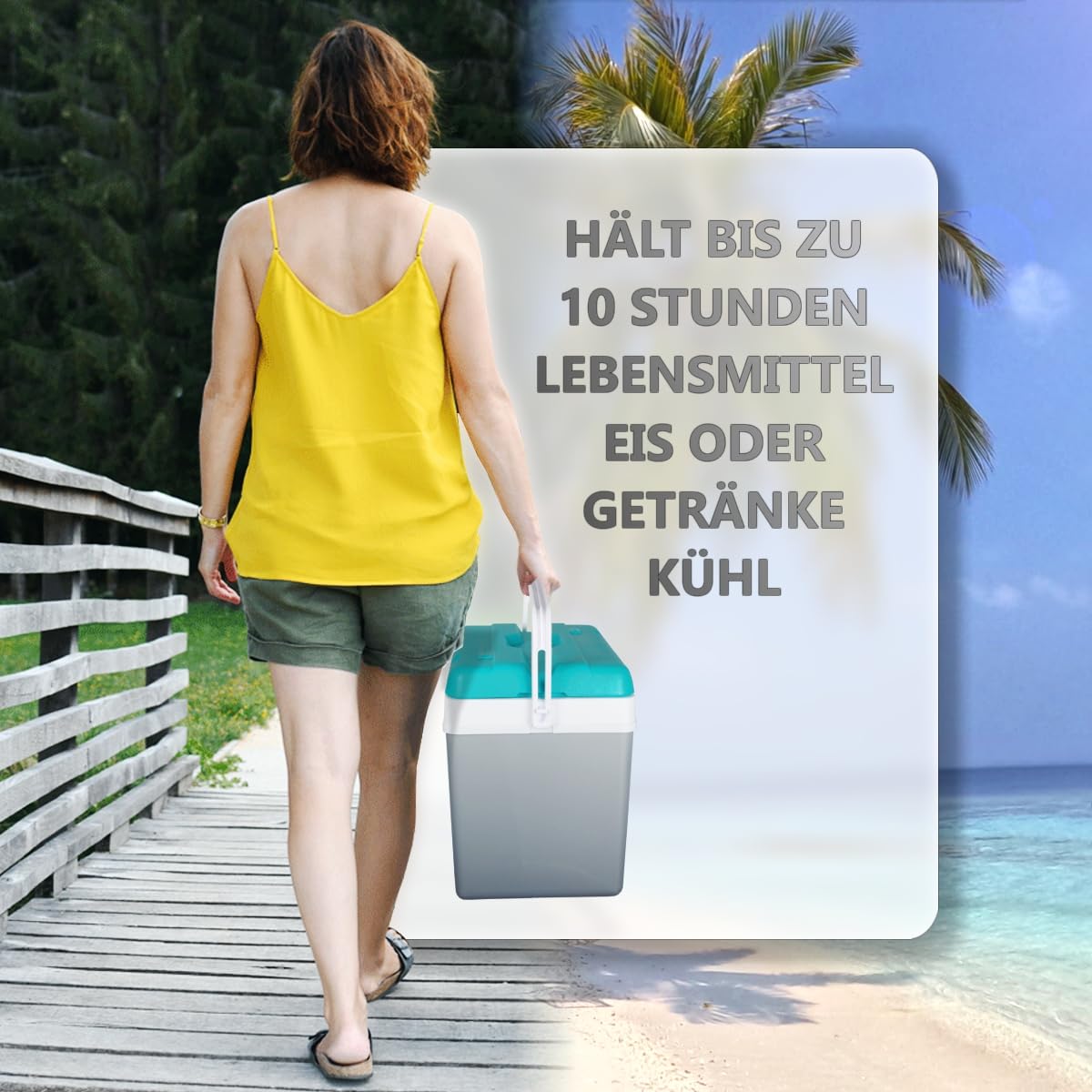 Cooler box 35L insulated box cooler bag camping thermobox isolation bag gray (cooler box 35L)