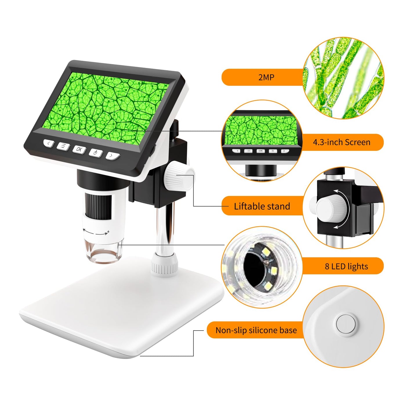 GlobalCrown Microscope for kids/adults, digital microscope with 4.3 inch screen, 1000X magnification and 8 adjustable LED lights, compatible with Windows/Mac.