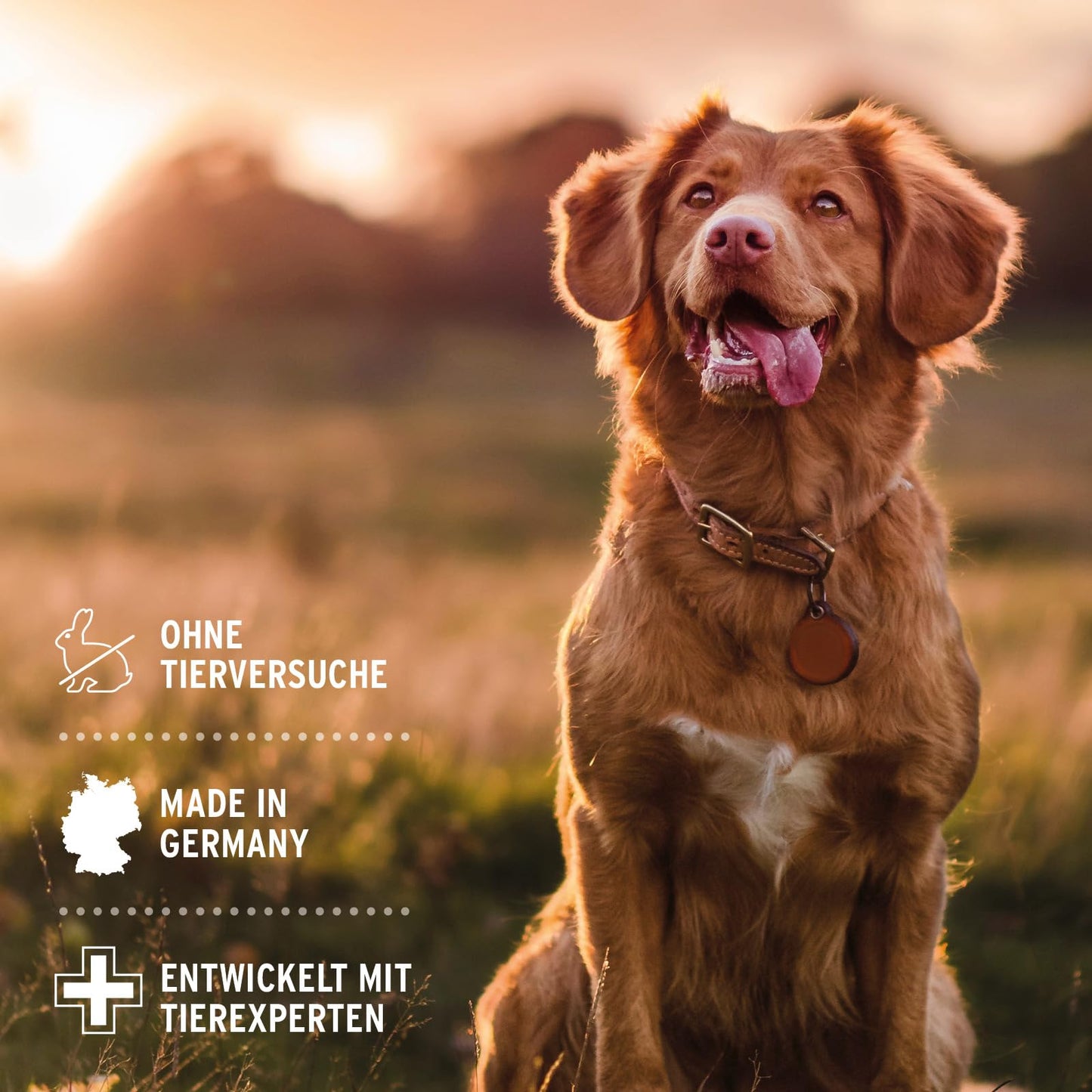 AniForte Neem Oil Shampoo for Dogs 500ml - Dog Shampoo against Itching, Mites, Fleas, Ticks, Skin-friendly, Nourishing & Easy to comb, Coat Care & Shine, Pleasantly Scented