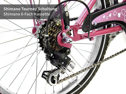 XB3 20 inch girls' bike with 6-speed gears, StVZO-approved hub dynamo, LED light, and standing light (pink)