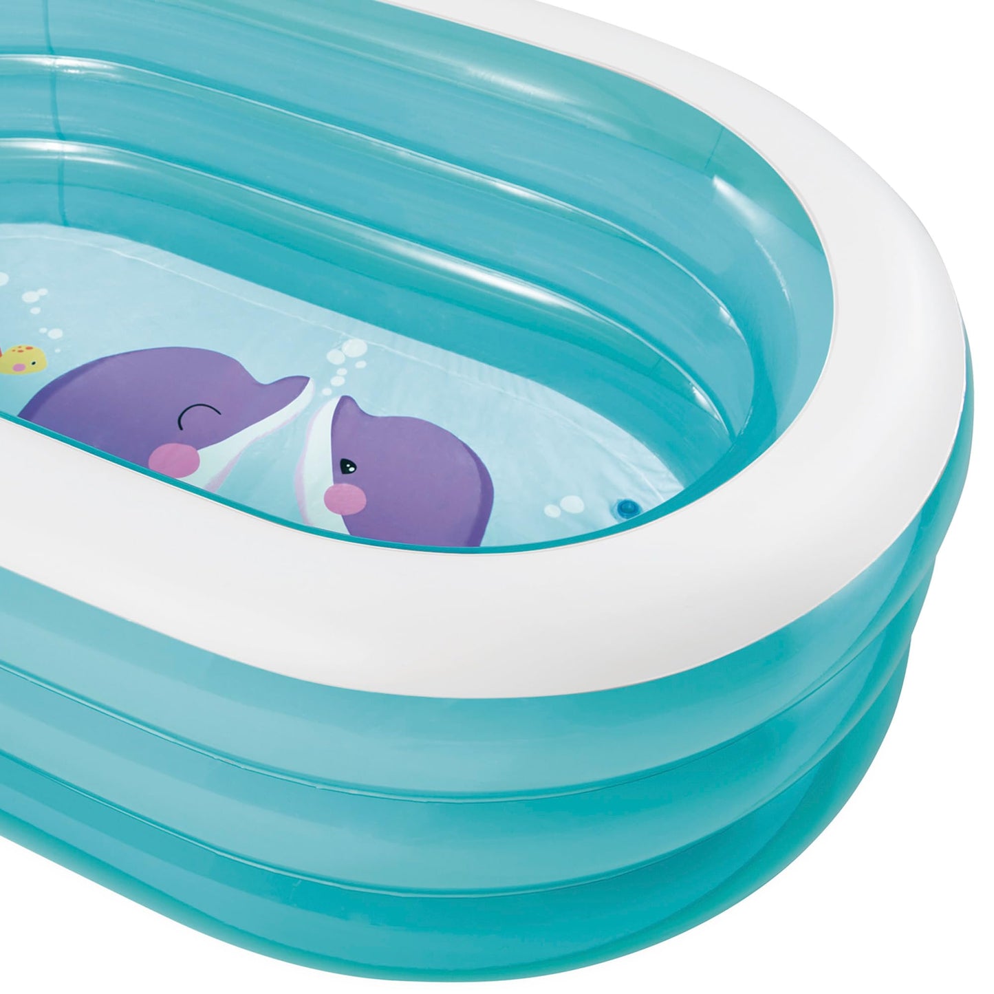 Intex 57482NP - Oval Whale Pool (Assorted Model), Blue, 163 cm l x 107 cm w x 46 cm h