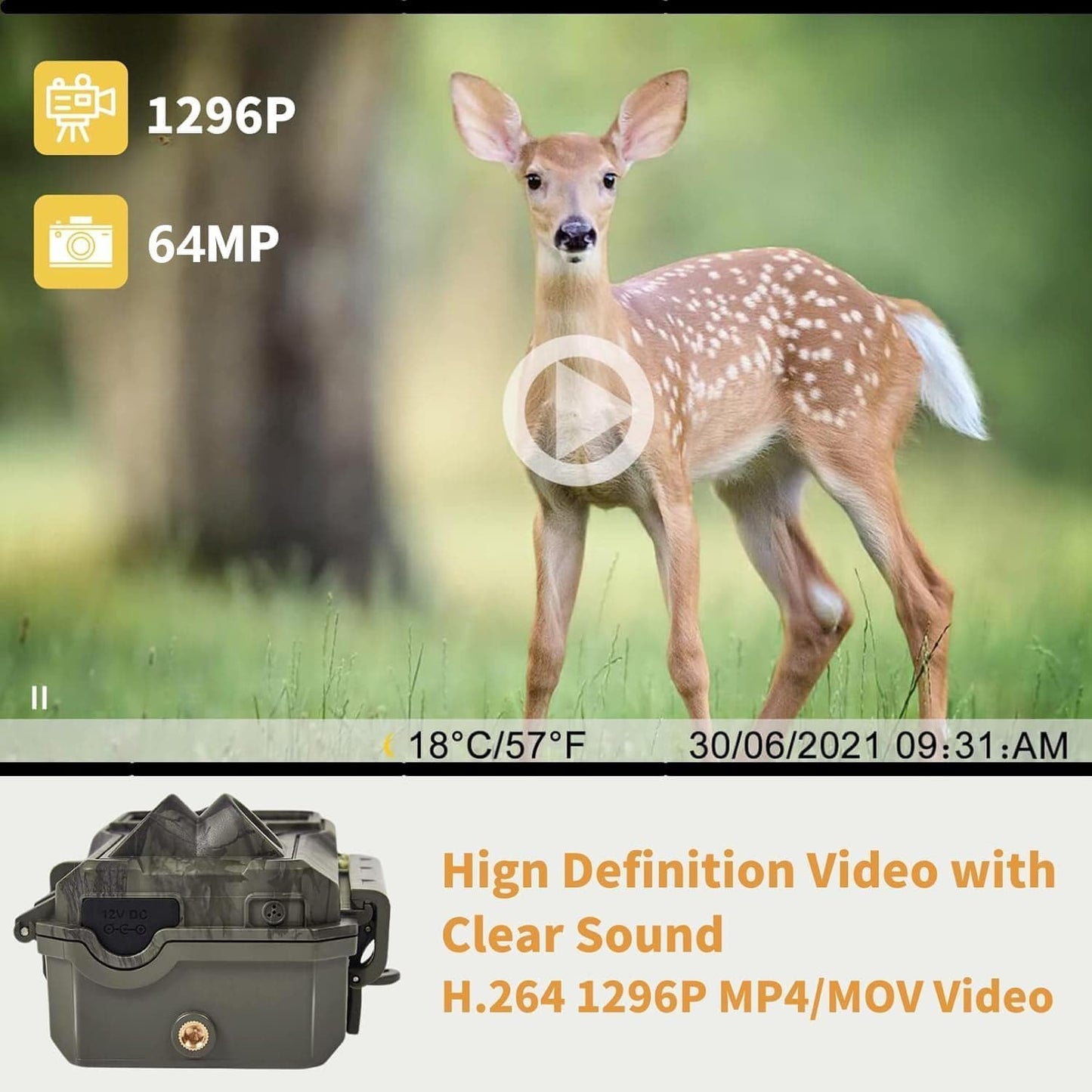 BlazeVideo WiFi Trail Camera with App, Wildlife Camera Night Vision Photo Trap 64MP 1296P Connect through APP Bluetooth Antenna with Night Vision Motion Sensor.