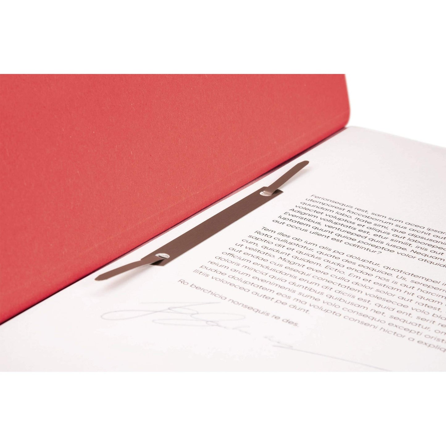 Original Falcons 50-pack eyelet files. Made in Germany. Made from recycled cardboard with half-front cover and commercial stapling for DIN A4 red folder collection folder Blue Angel