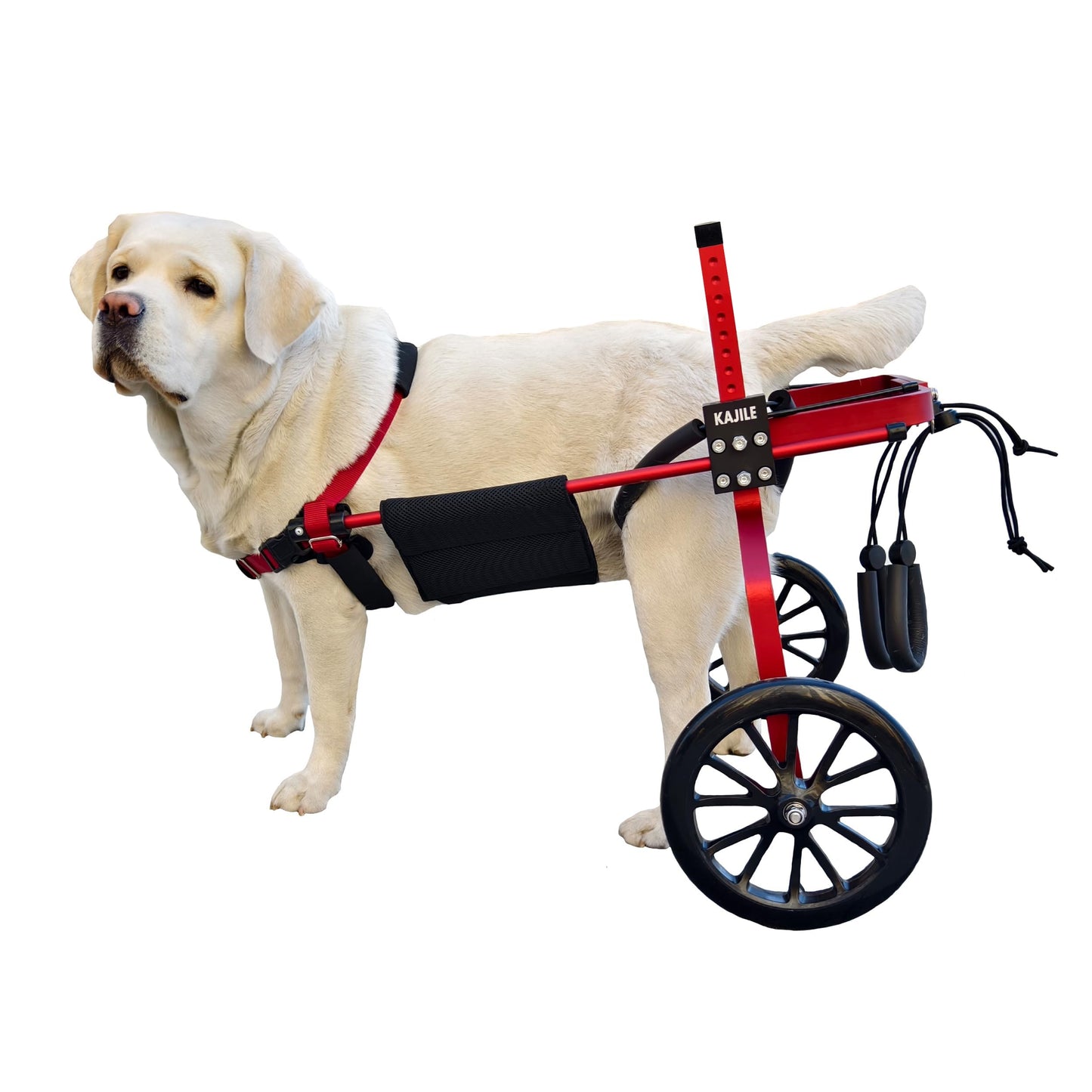 KAJILE Adjustable 2-Wheel Dog Wheelchair, XXL-1 size for disabled dogs hind legs rehabilitation, suitable height 50-65cm, width 24-32cm, length 35-45cm