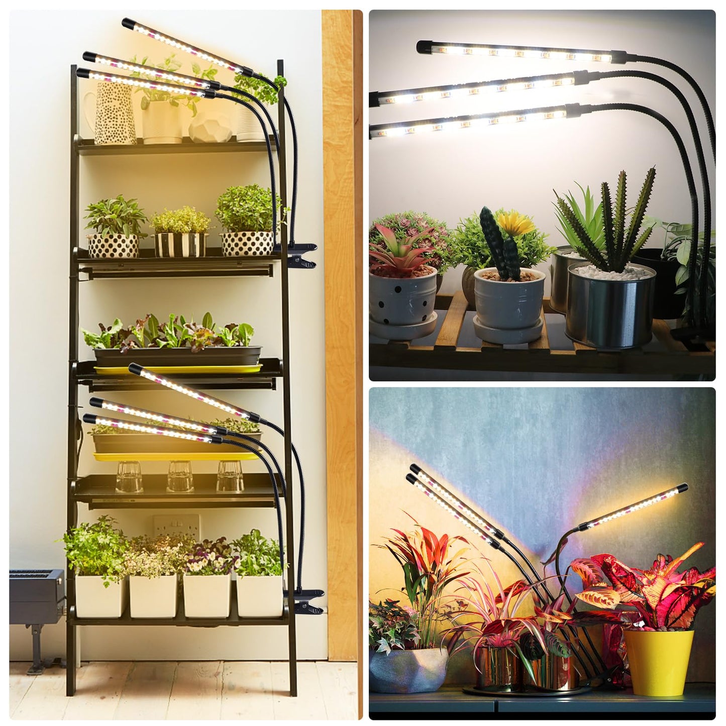 Niello 2 Pack 6 Heads Plant Lamp LED, Full Spectrum Plant Light, Plant Light with Timer, 3 Color Modes and 10 Dimmable Levels, Growth Lamp for Indoor Plants, Houseplants