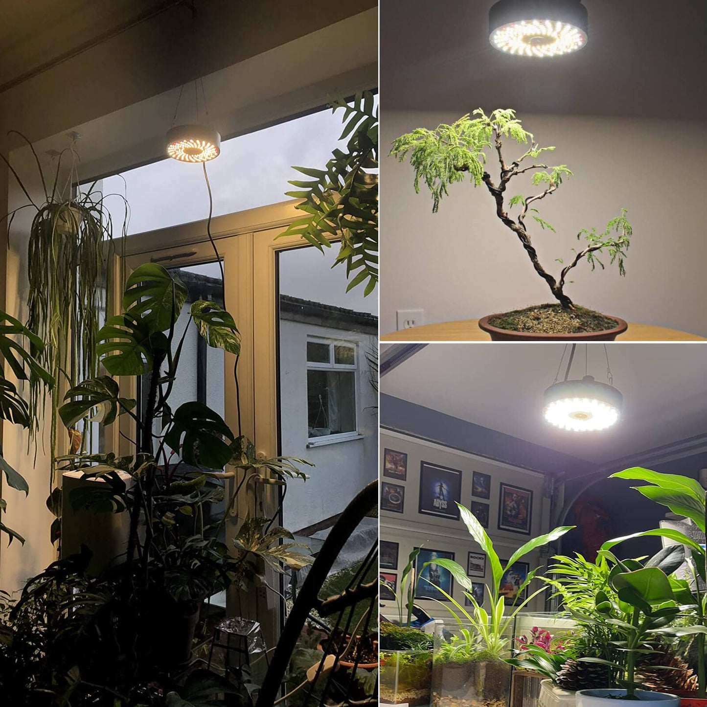 FECiDA LED Plant Lamp UFO1000, dimmable, growth lamp for indoor plants, plant lamp, seedling plant lamp, flowering.