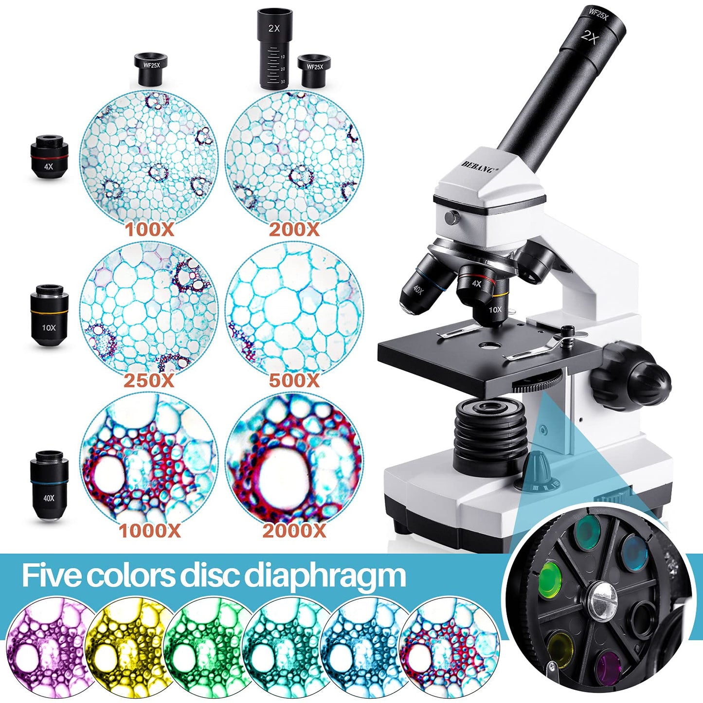 BEBANG 100X-2000X Microscope for Kids Adults, Professional Biological Microscopes for Students School Lab Home