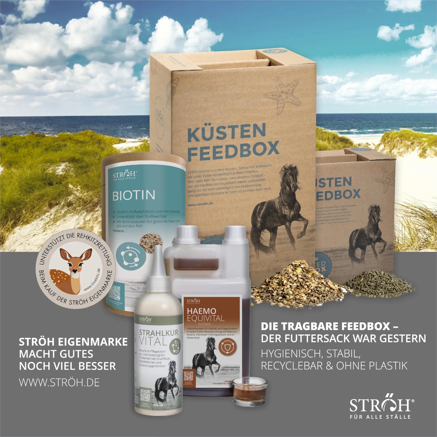 STRÖH Turmeric for Horses (1L dosing bottle) • Supports healthy joint function in horses • Strengthens cartilage, ligaments, joints & tendons