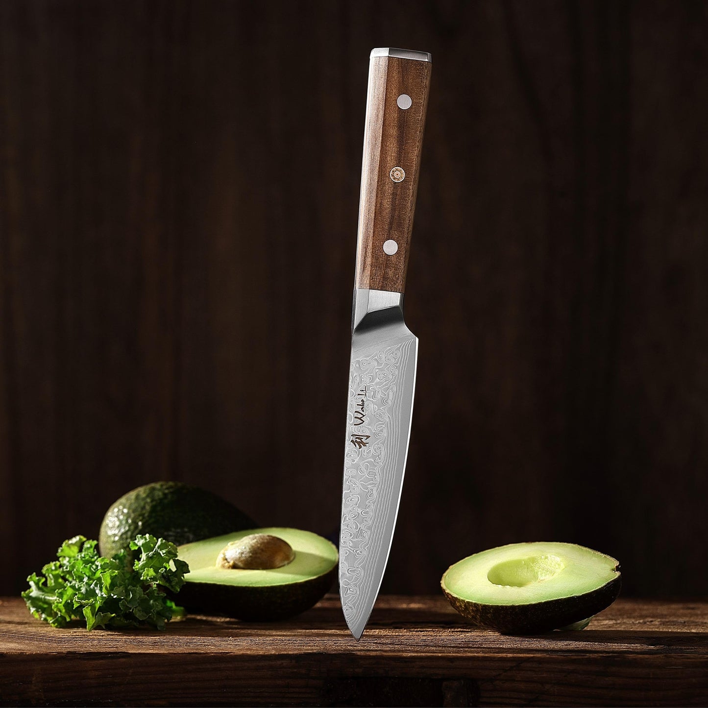 Wakoli Oribu Damascus Kitchen Knife Full Tang with 12.5 cm Blade - Herb knife made of 67 layers of Damascus steel with VG-10 core, knife with olive wood handle in gift box - Knife sharp chef's knife