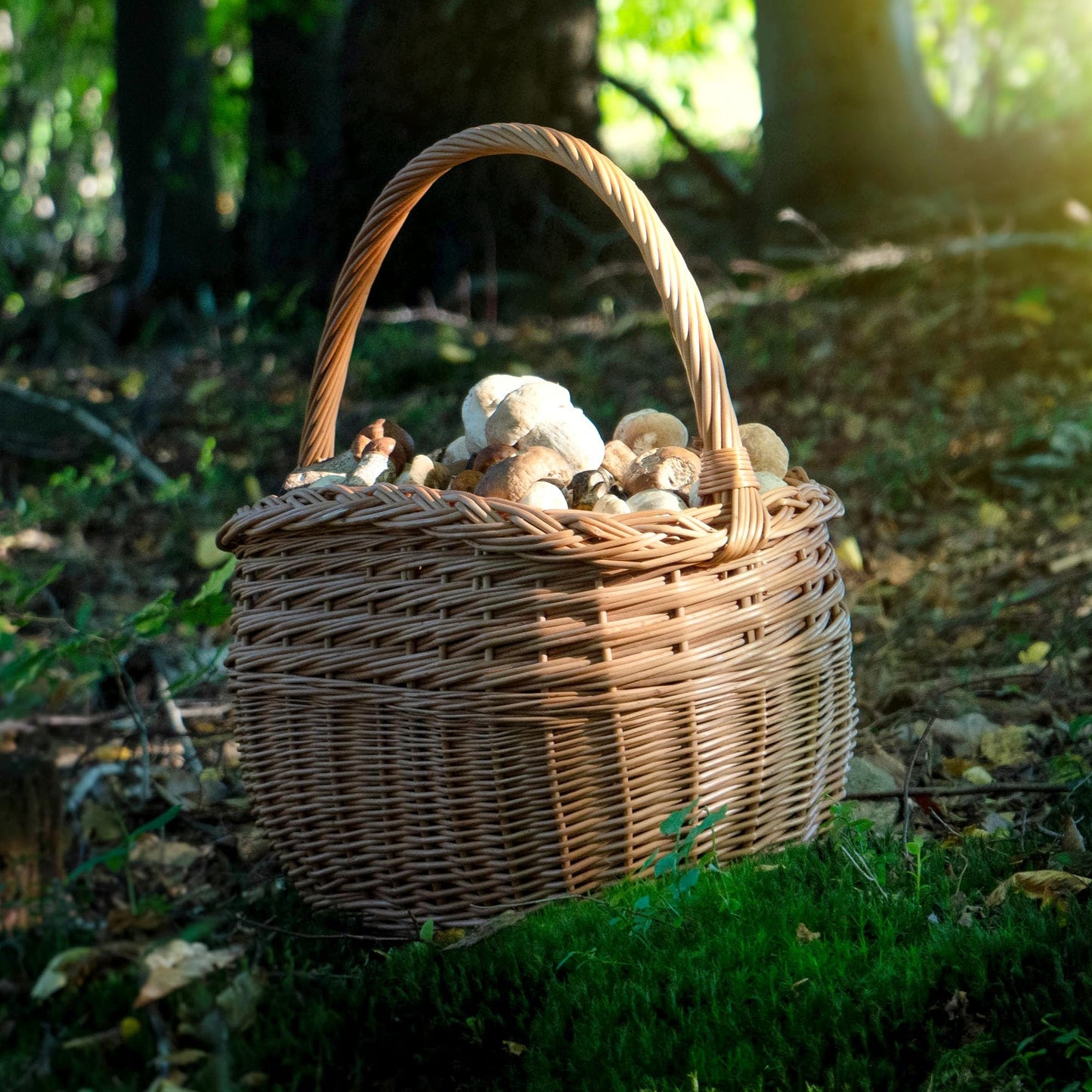 KADAX Willow Basket for Mushrooms, Oval Basket for Shopping, Sturdy Picnic Basket with Handle, Bottle Basket, Garden Basket, Carry Basket (Brown, 41x25x44cm)