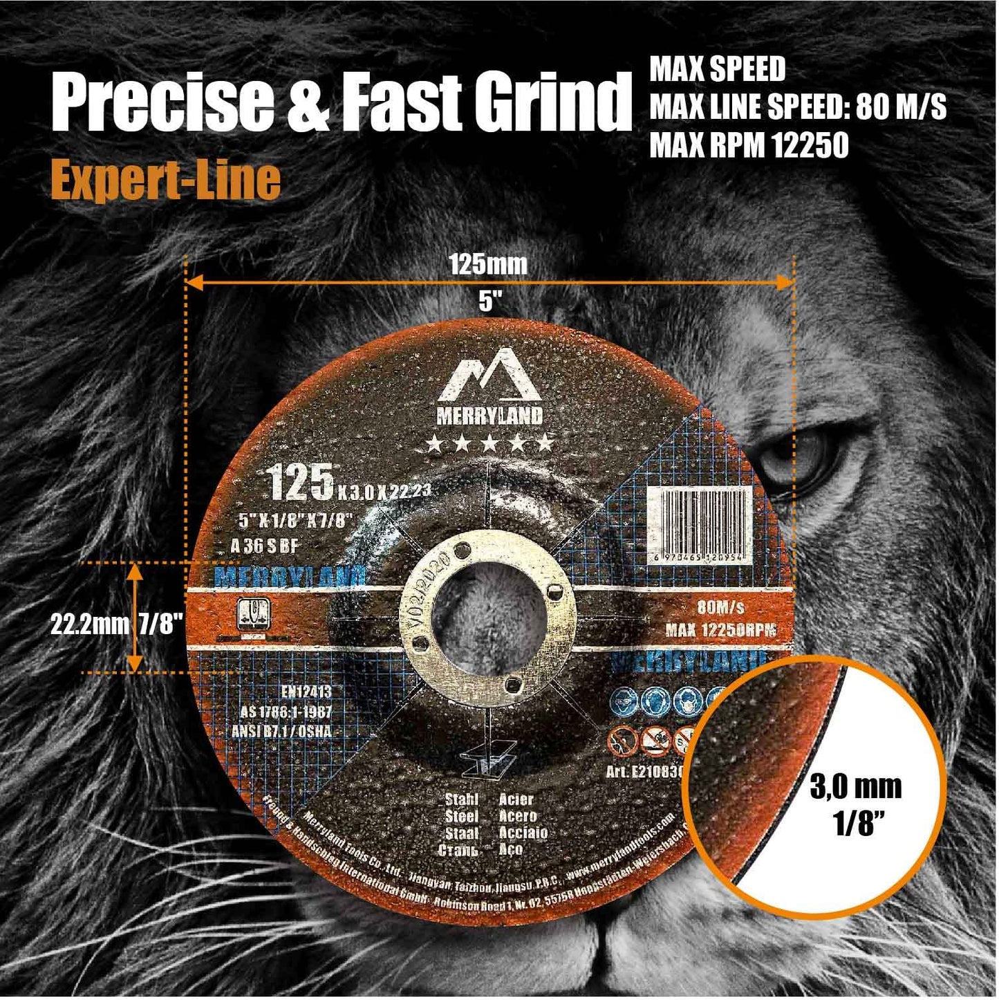 Merryland Cutting Disc 125 Metal Steel Stainless Steel for Angle Grinder, 125 X 3.0 mm Flex Disc Offset 25 Pieces, Expert Line E21083042