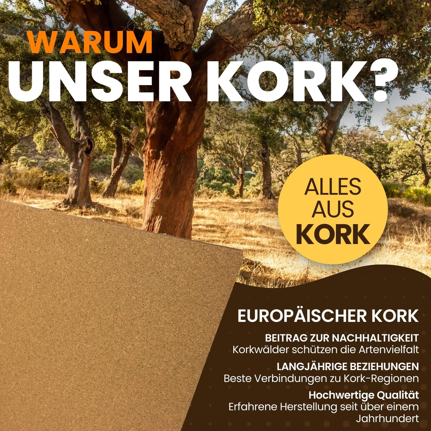 Cork board 100x50cm 30mm thick I Natural cork board for pin board, wall decoration or soundproofing I Environmentally friendly DIY project material for crafting & model making.