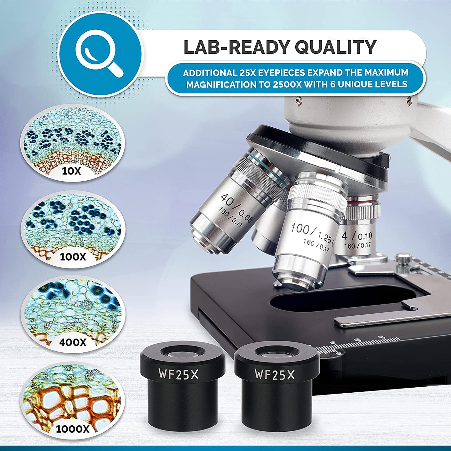 Amscope 40x-2500X digital binocular compound microscope with multiple objectives, x/y mechanical stage, Abbe condenser with iris diaphragm.