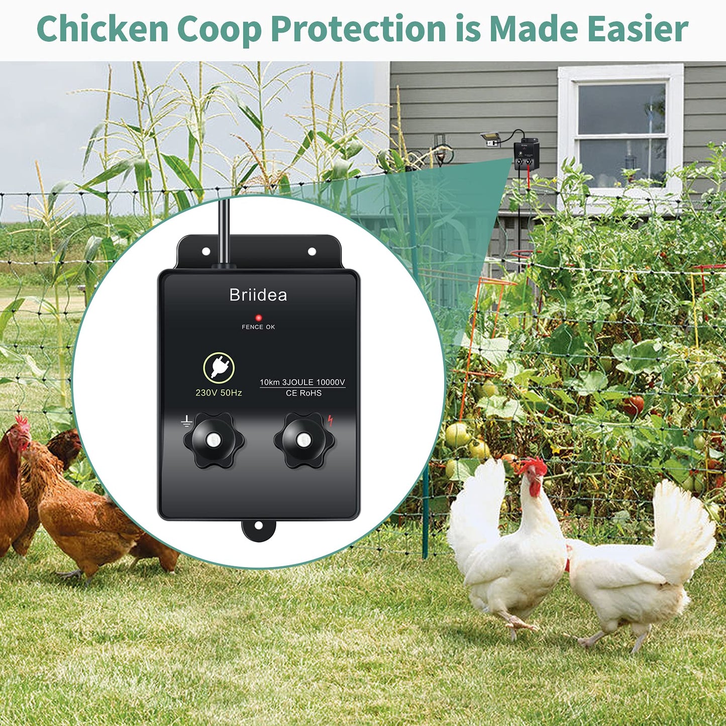 230V electric fence energizer, Briidea 6.2 miles electric fence energizer for dog fence, livestock fence, squirrel, used for gardens, chicken coops, Easy installation, 3 Joules