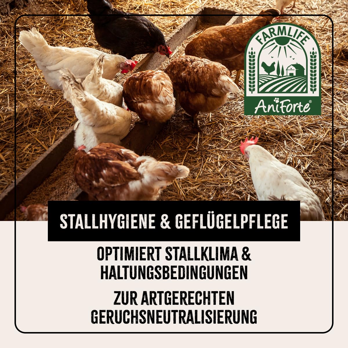 AniForte Diatomaceous Earth for Chickens 4.2kg with Dusting Bottle - Pure Diatomaceous Earth Chicken Powder, Silica Powder, Natural product for Chicken Coops, Laboratory Tested for Poultry Farms