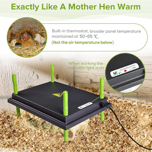 heninhill Heat Plate for Chicks 30x40cm Heating Plate Heat Lamp Adjustable height for Chickens Ducks Poultry Rearing (Black)
