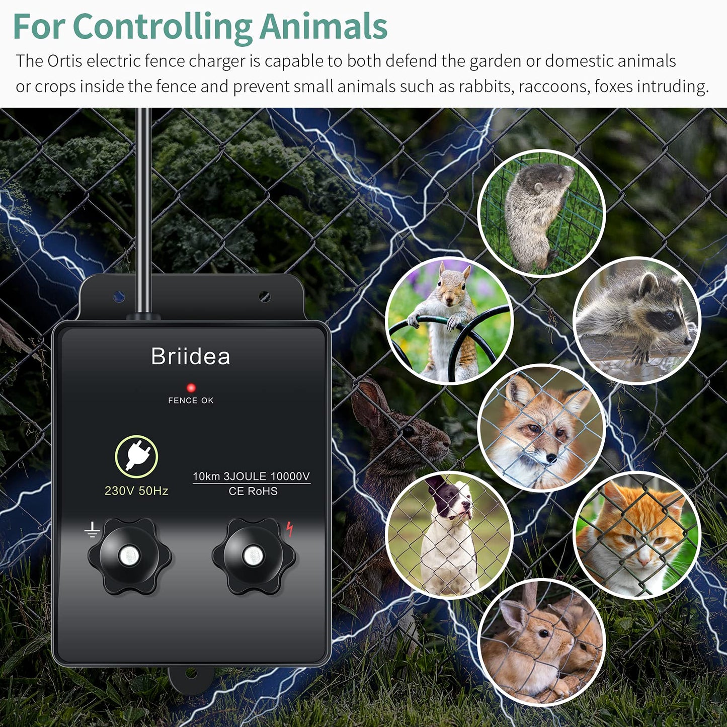 230V electric fence energizer, Briidea 6.2 miles electric fence energizer for dog fence, livestock fence, squirrel, used for gardens, chicken coops, Easy installation, 3 Joules
