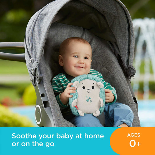 Fisher-Price FXC58 - Sleepy Hedgehog plush toy musical soother, sleep aid for babies, newborn essentials, baby toy from birth.